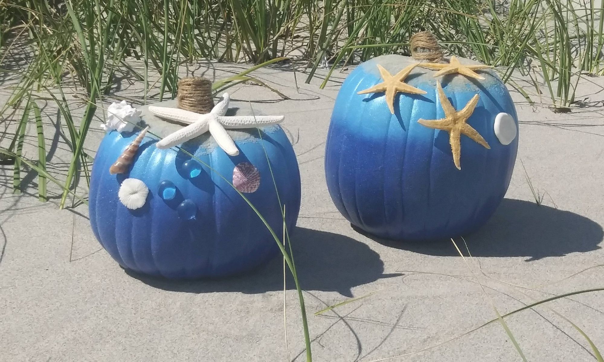 Beach Pumpkin Season